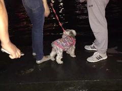 -海河游船-永乐码头(大悲院)