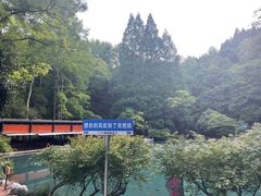 -灵栖洞天