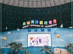 -泉城欧乐堡海洋极地世界