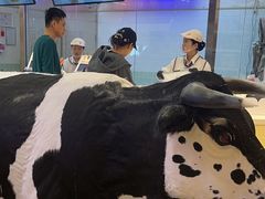 -红星前进面包牛奶公司(君太店)