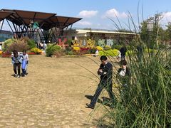 -上海长兴岛郊野公园