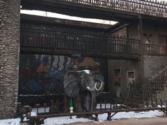 -呀路古热带植物园