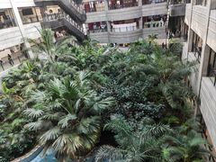 -黑龙江中医药大学附属第一医院