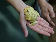 -藦茜花园宠物主题亲子互动体验馆(国顺东路店)