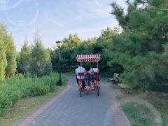 -永定河休闲森林公园