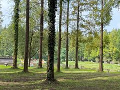 -黄海国家森林公园