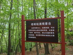 -五女峰国家森林公园