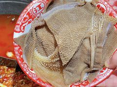 -楠火锅(绿地新都会店)