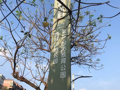 -梅峰山地公园