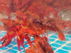 -巽寮印象美食部落餐厅·海鲜·地方特色菜(惠州体验店)