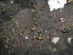 -红树林天天赶海