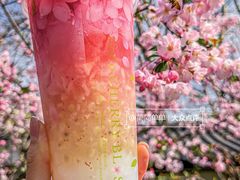 -CoCo都可(湖滨银泰店B区店)