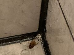 -江苏保险大厦宾馆(南京新街口德基广场店)