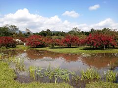 -中国科学院西双版纳热带植物园