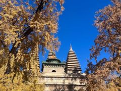 -北京石刻艺术博物馆(五塔寺)