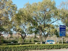 -上海市公安局交通警察总队车辆管理所三分所