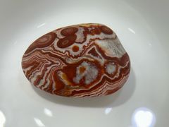 -仪征博物馆