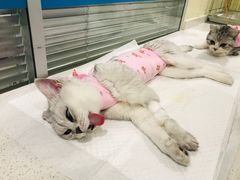 -美迦爱-牙专科·兔科·骨科诊疗中心(北苑店)