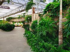-南宫五洲植物乐园