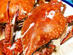 -北塘海鲜·天津菜(大光明桥旗舰店)