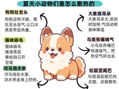 -古力古利托育早教中心(澳门路校区)