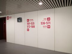 -杭州奥体中心-体育场