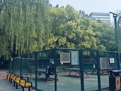 -莲花池公园