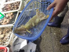 -黄沙水产交易市场