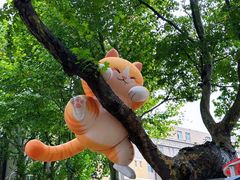 -西安电影制片厂