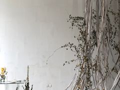 -桉树林A coffee 森林餐厅(三圣乡店)