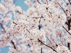 -永乐路-路侧停车场