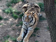 -西霞口神雕山野生动物世界