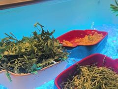 -古南都饭店-遂心遂意自助餐厅(广州路店)