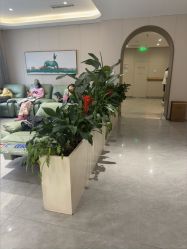 -LIHER北京丽合医疗美容医院