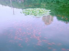 -前关湿地公园