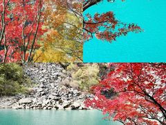 -叠溪松坪沟景区