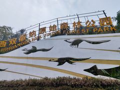 -西双版纳原始森林公园