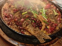 -老板恋上鱼(印象城店)