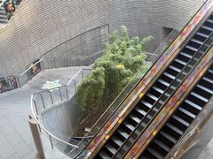-上海中心大厦
