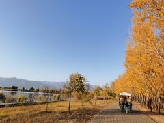 -野鸭湖国家湿地公园