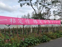 -前小桔亲子创意农场·草莓采摘·露营烧烤