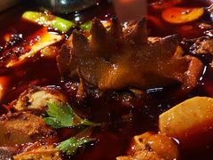 -佘记全家福芋儿鸡(向阳街总店)