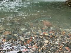 -西岭雪山大飞水景区