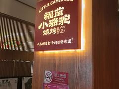-福苗小骆驼烧烤(望京店)