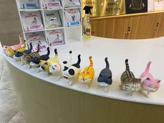 -美联众合动物医院·24h转诊中心