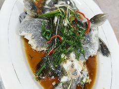 -车路士海鲜餐厅·本地人常驻·鲜捞现做(汕头南澳店)