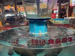 -魏铭鱼头捞饭(晋阳路店)