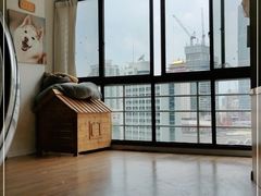 -Husky Go! 哈士奇体验馆·宠物咖啡厅狗咖