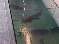 -红井路游艺炖锅·音乐餐吧(十渡店)