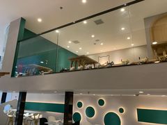 -飞行喵MR PILOT|猫舍·猫咖(静安大融城店)